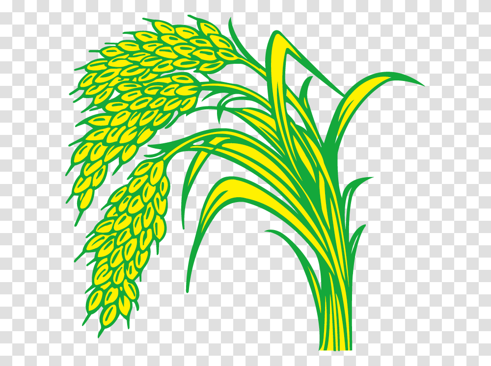Rice Paddy Field Paddy Clipart, Plant, Floral Design, Pattern Transparent Png