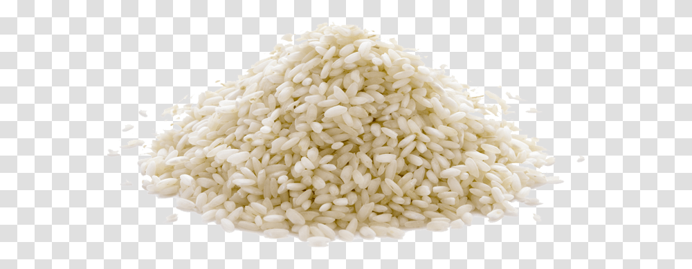 Rice Photo Rice Clip Art, Plant, Vegetable, Food, Rug Transparent Png