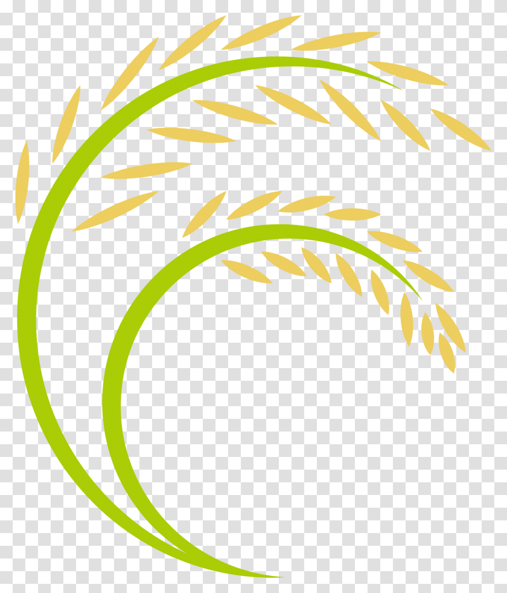 Rice Plant Paddy Rice Logo, Floral Design, Pattern Transparent Png
