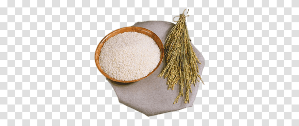 Rice Stalks And Bowl Rice Plant And Rice, Vegetable, Food, Grain, Produce Transparent Png