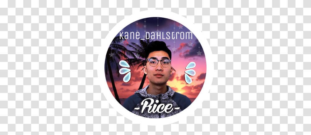 Ricegum Icon Instagram Sticker By Phan Ricegum Profile, Disk, Person, Human, Dvd Transparent Png