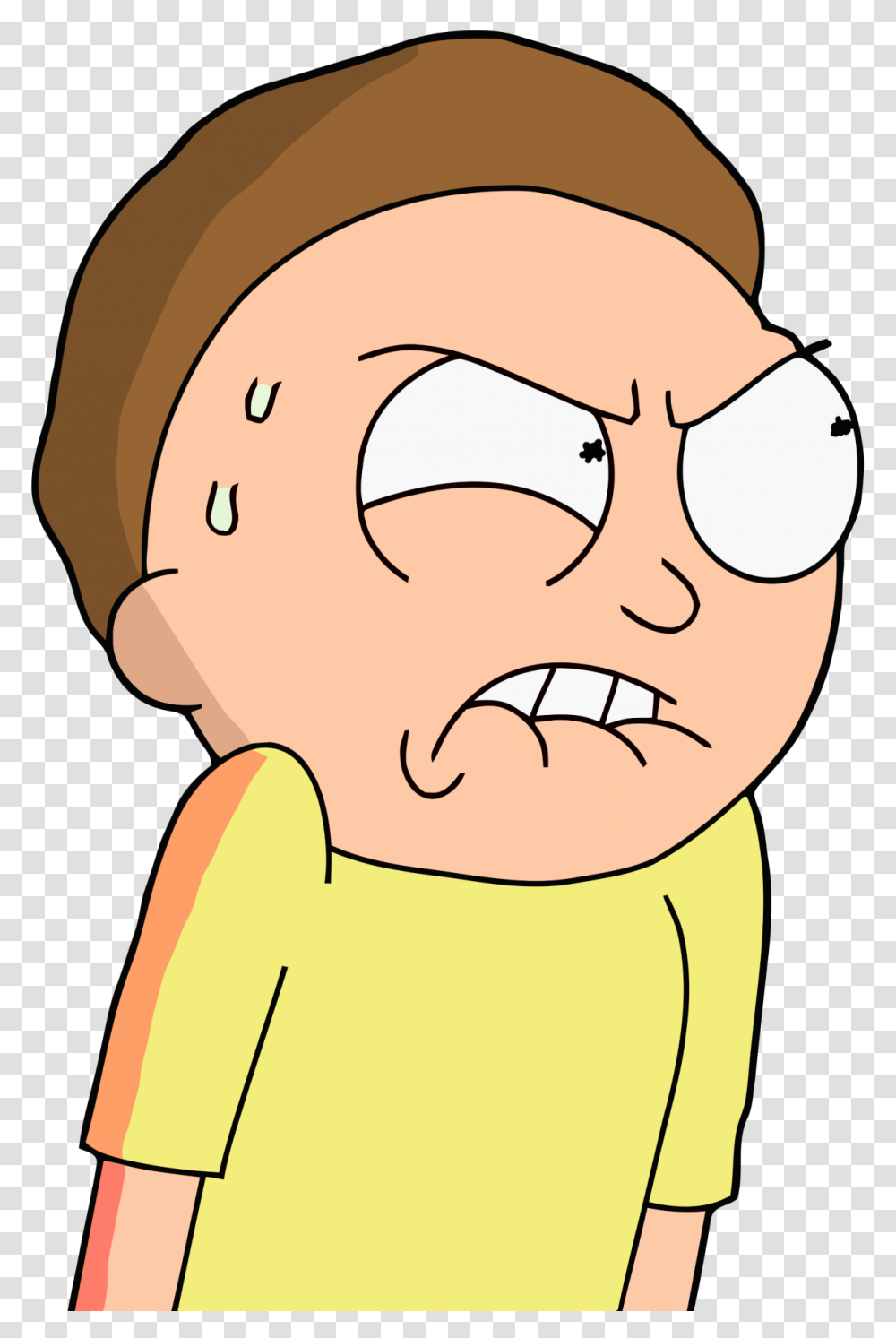 Rick And Morty Images, Sunglasses, Accessories, Accessory, Face Transparent Png