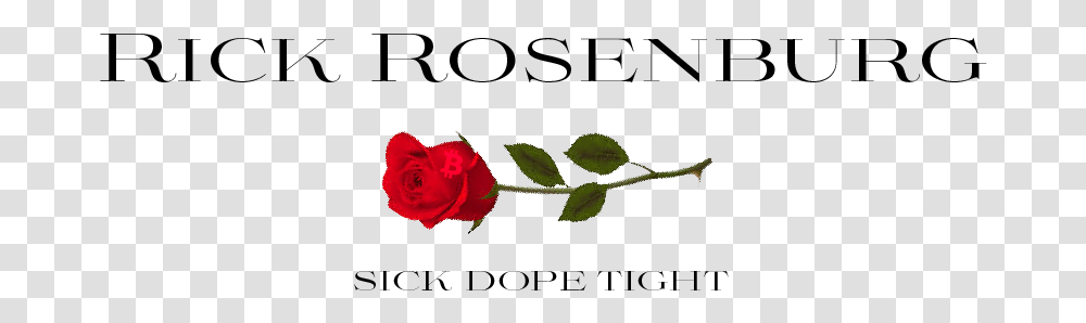 Rickrosensignsteem Garden Roses, Plant, Flower, Blossom, Petal Transparent Png