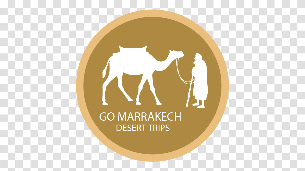 Ride A Camel In Marrakech Palm Grove Arabian Camel, Gold, Animal, Mammal, Coin Transparent Png