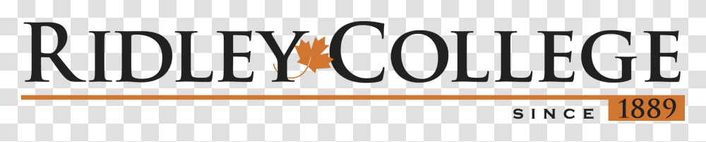 Ridley College, Leaf, Plant, Tree, Maple Leaf Transparent Png