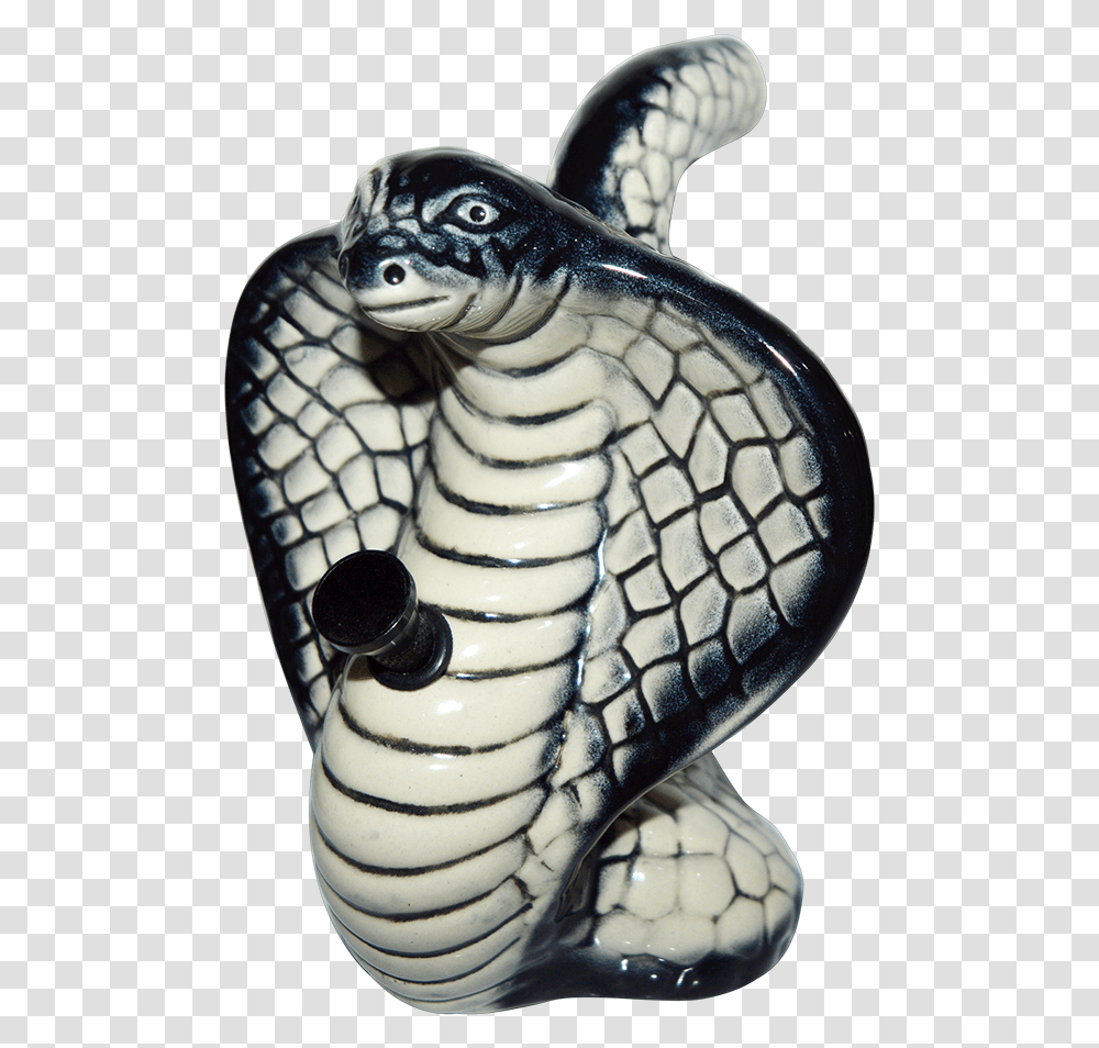 Ridley Sea Turtle, Cobra, Snake, Reptile, Animal Transparent Png
