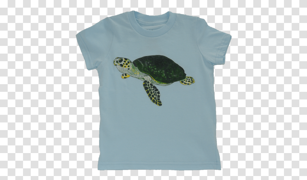 Ridley Sea Turtle, Reptile, Sea Life, Animal, Tortoise Transparent Png