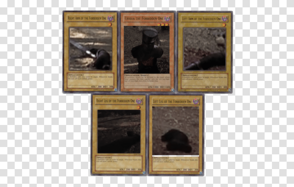 Right Am Of The Forbidden One Exooia The Forbidden Cat Exodia, Animal, Person, Bird, Mammal Transparent Png