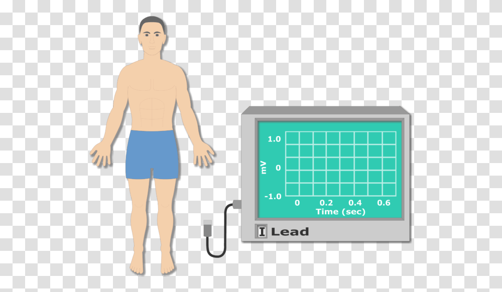Right Arm Electrode Placement Animation Slide Arm Electrode Placement, Person, Human, Monitor, Screen Transparent Png