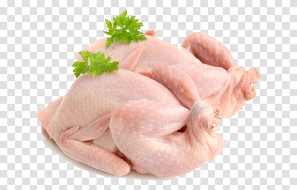 Right Farms Fresh Chicken Meat, Poultry, Fowl, Bird, Animal Transparent Png