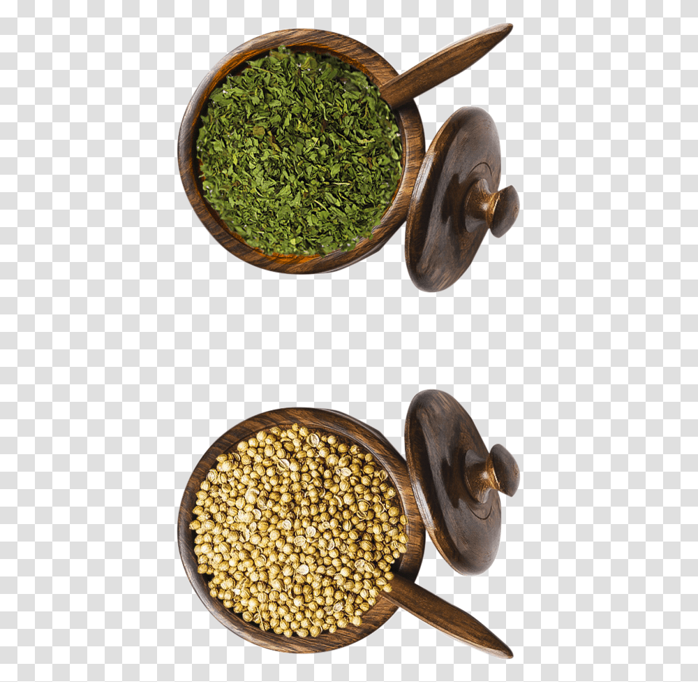 Right Spices Coriander, Plant, Food, Snake, Vegetable Transparent Png
