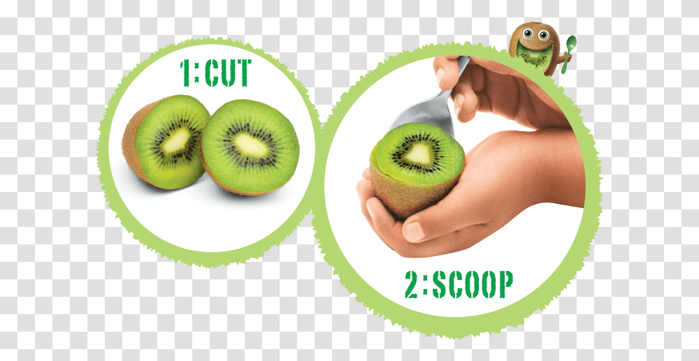Right Way To Eat Kiwi Fruit, Plant, Person, Human, Food Transparent Png
