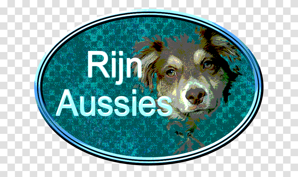 Rijn Aussie Dog, Label, Outdoors, Canine Transparent Png