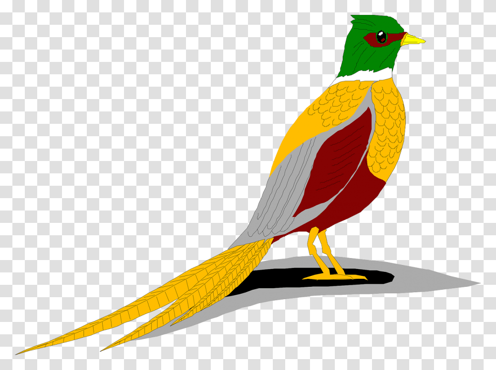 Ring Necked Pheasant Clip Art, Bird, Animal, Beak, Finch Transparent Png