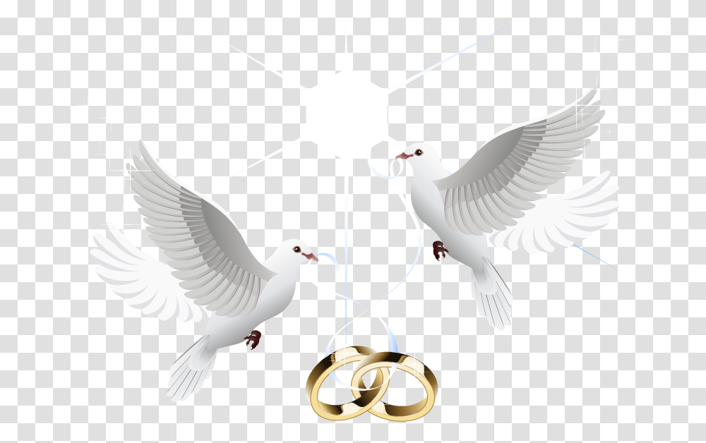 Ring Vector Marriage Wedding Download Hd Clipart Wedding Dove, Bird, Animal, Pigeon Transparent Png