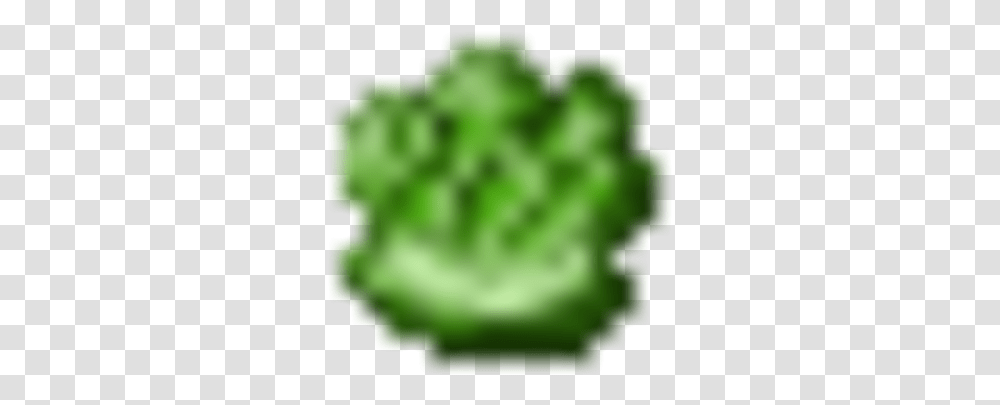 Rings Minecraft Mod Wiki Lettuce, Green, Plant, Hole, Vegetable Transparent Png