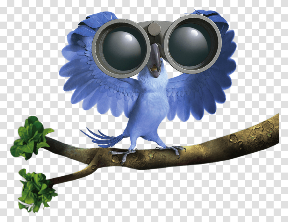 Rio 2 Character, Binoculars, Sunglasses, Accessories, Accessory Transparent Png