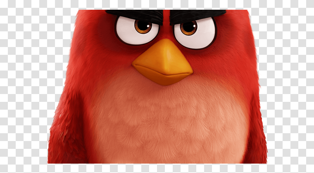 Rio Movie Clipart, Angry Birds, Person, Human, Mouse Transparent Png