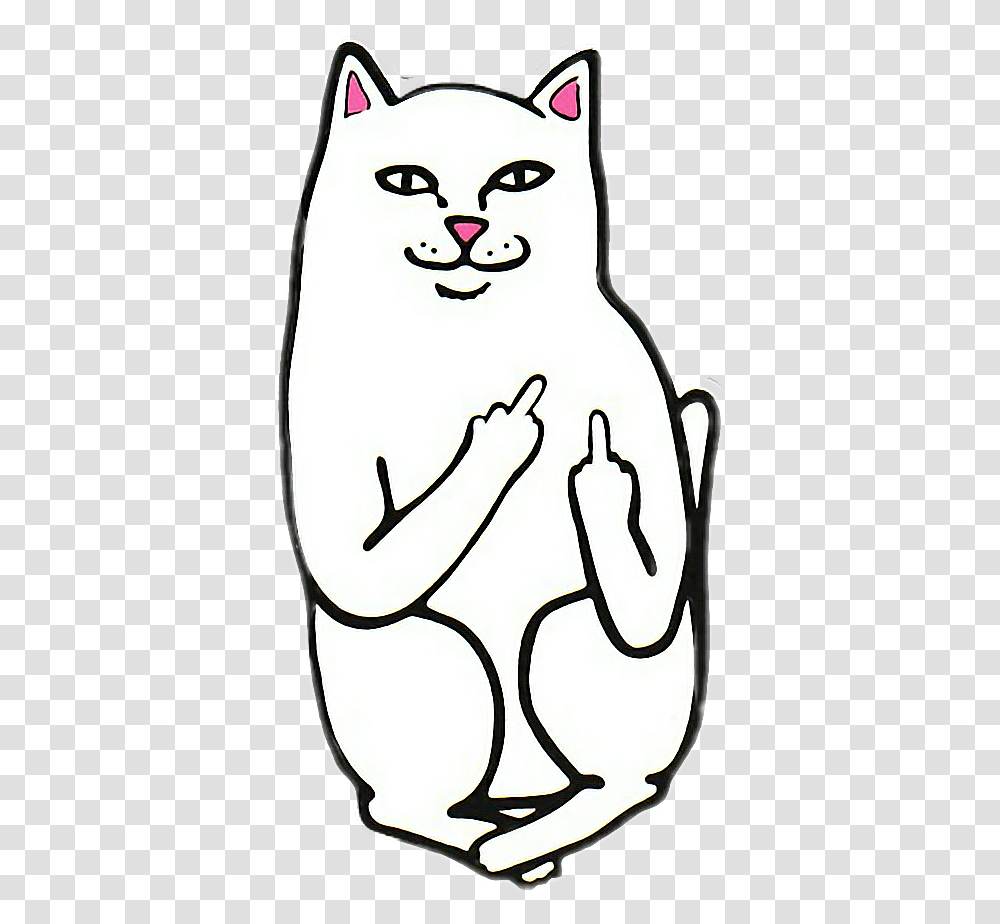 Ripndip Rip N Dip Cat, Stencil, Hand Transparent Png