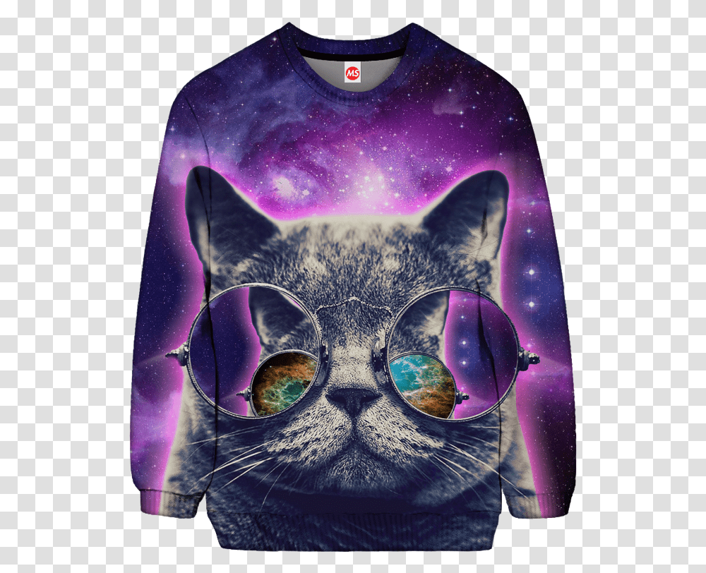 Ripped Kitten Sweatshirt 1280 X, Cat, Pet, Mammal, Animal Transparent Png