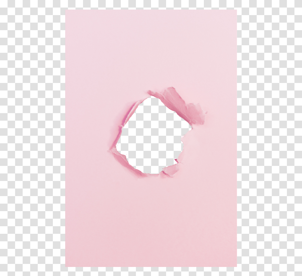 Ripped Paper Hole Pink Hole Paper, Rose, Flower, Plant, Blossom Transparent Png