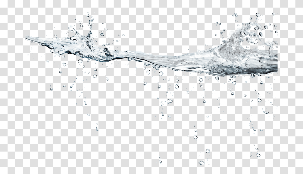 Ripples Drawing Multiple Water Picture, Plant, Droplet, Indoors, Fruit Transparent Png
