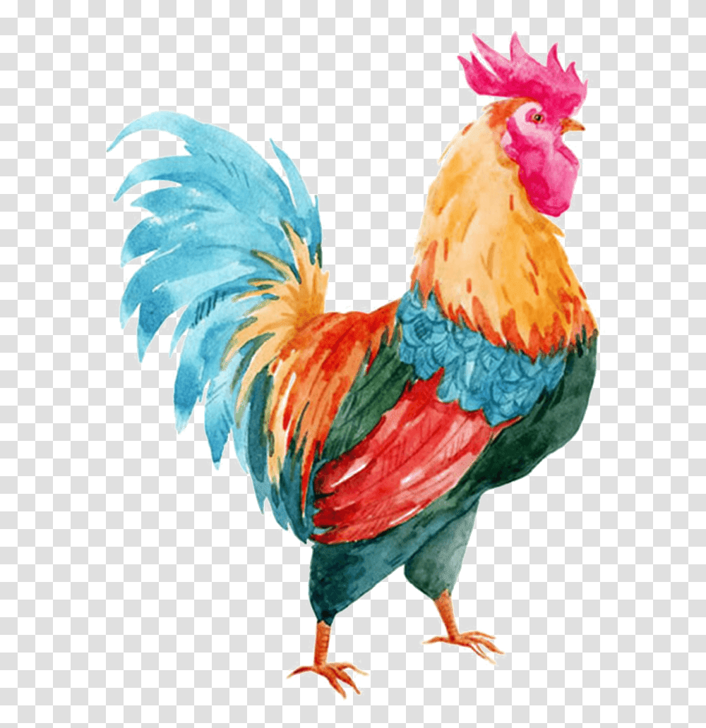 Rise And Shine Mother Cluckers, Chicken, Poultry, Fowl, Bird Transparent Png