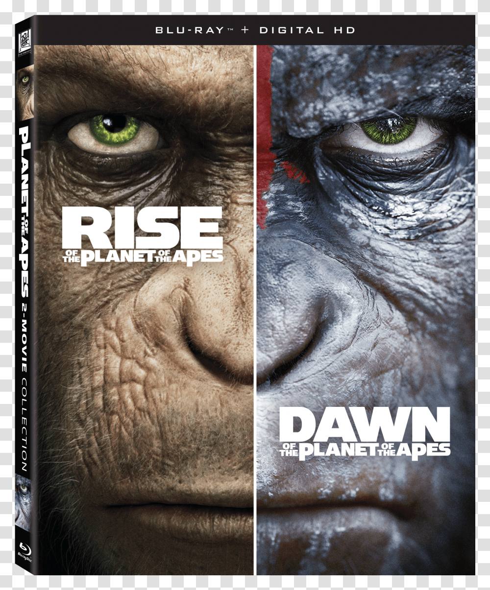 Rise Of The Planet Of The Apes Blu Ray, Wildlife, Mammal, Animal, Person Transparent Png