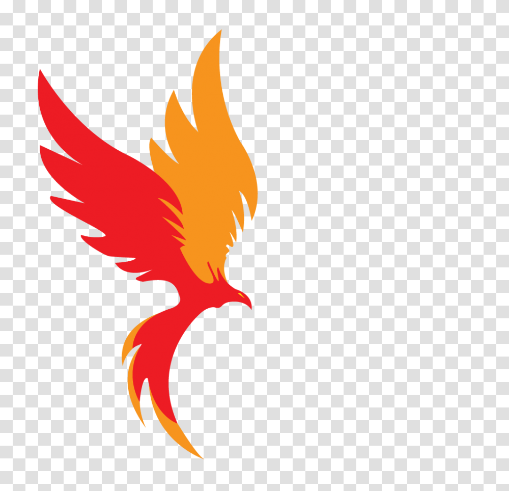 Rise Out The Water Like A Phoenix, Animal, Bird, Fire, Flame Transparent Png