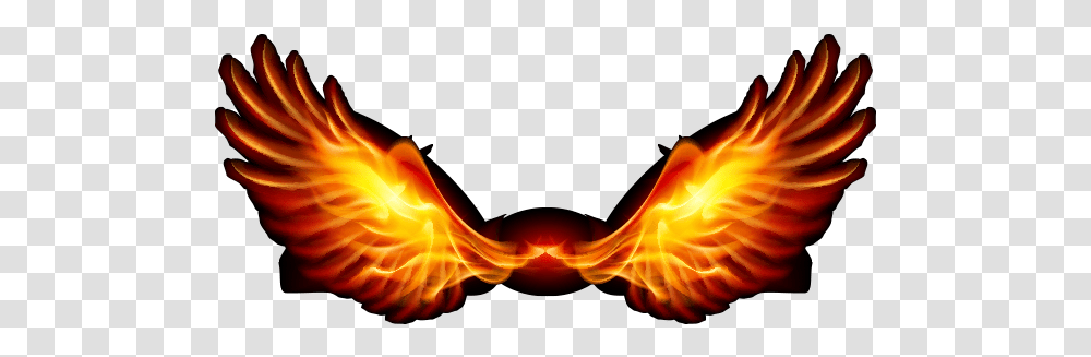 Rising Phoenix From Ashes, Fire, Bonfire, Flame, Pattern Transparent Png