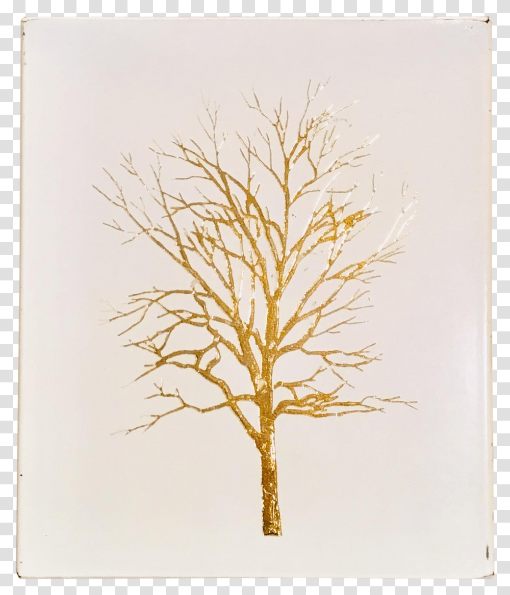 River Birch, Tree, Plant, Modern Art, Canvas Transparent Png