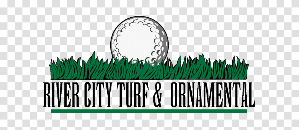 River City Turf, Ball, Golf Ball, Sport, Sports Transparent Png