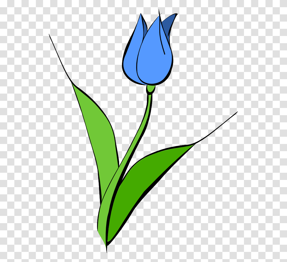 River Clipart, Plant, Flower, Blossom, Tulip Transparent Png