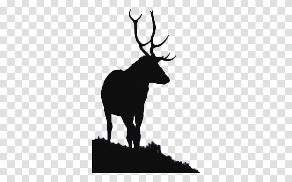 River Glass Strathglass Beauly Firth Red Deer Elk Aesthetic Moose, Wildlife, Mammal, Animal, Silhouette Transparent Png