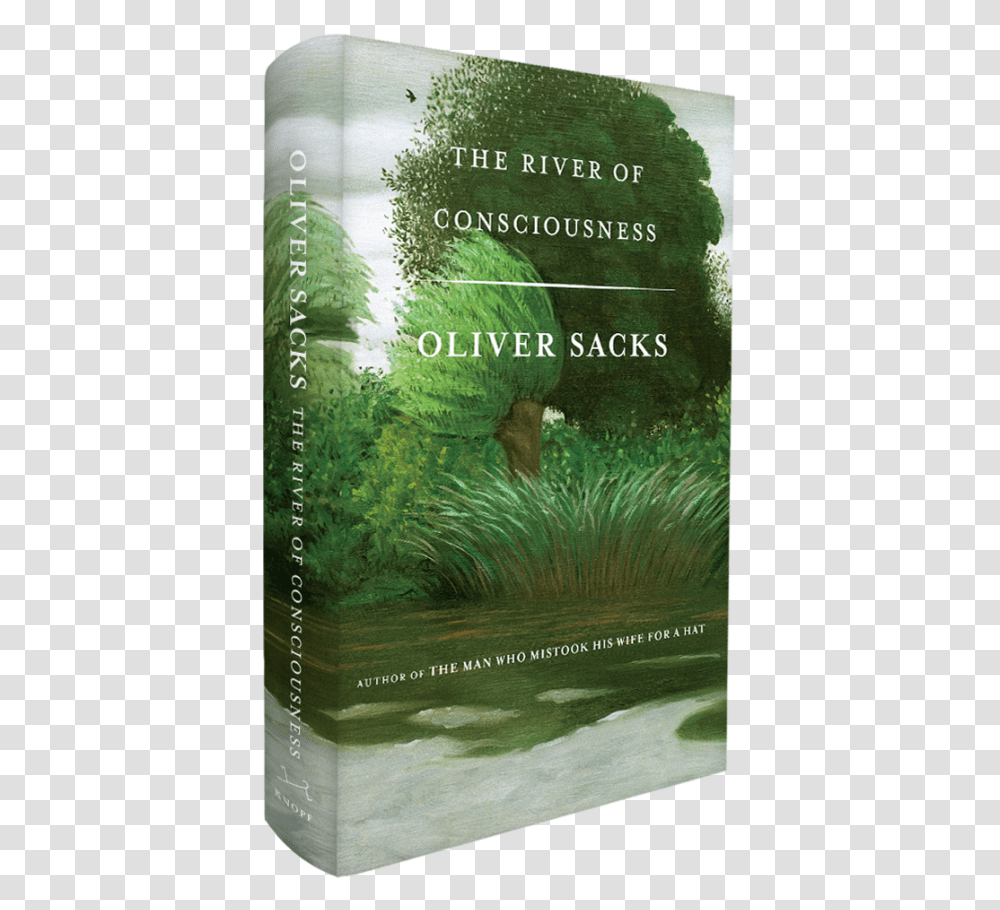 River Of Consciousness, Novel, Book, Plant, Outdoors Transparent Png