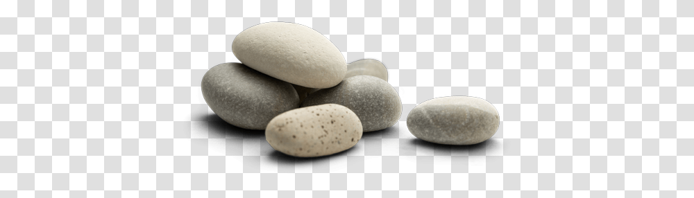 River Stone Clipart Pebble, Fungus Transparent Png