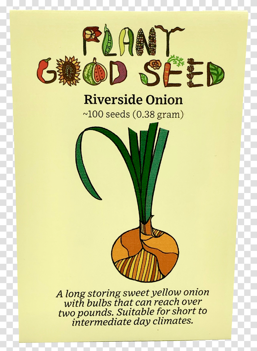 Riverside Onion Yellow Onion, Plant, Produce, Food, Vegetable Transparent Png