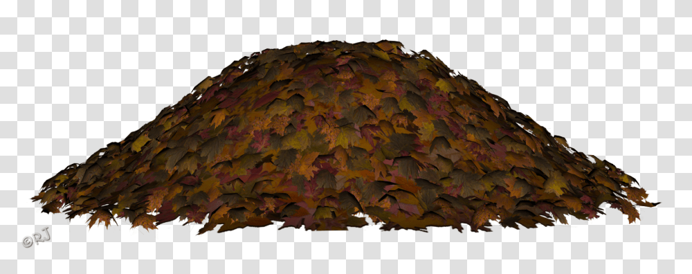 Rjs Bits Bobs Props Pieces Autumn Leaves Leaf Piles, Plant, Tree, Maple Leaf, Turtle Transparent Png