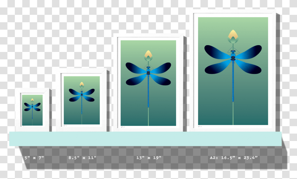 Rkr Sizes Dragonfly Graphic Design, Logo, Pattern Transparent Png