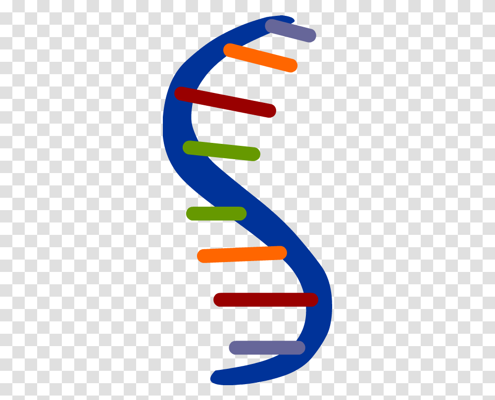 Rna Clipart, Seesaw, Toy Transparent Png