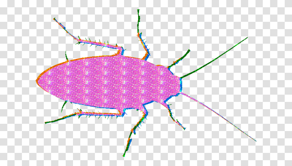 Roach Glitter Mine Lol Glitterroach Edgy Glitteredit Ground Beetle, Animal, Invertebrate, Insect, Sea Life Transparent Png