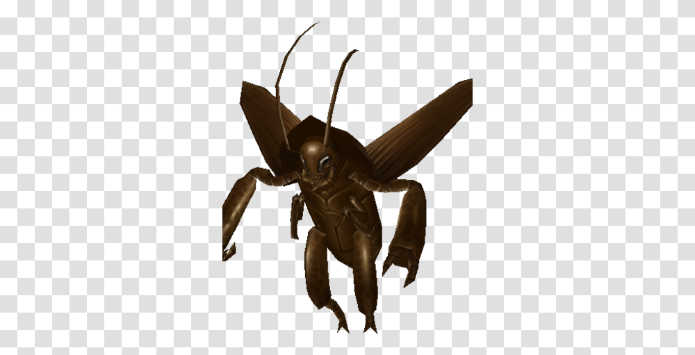 Roach Hornet, Insect, Invertebrate, Animal, Cricket Insect Transparent Png