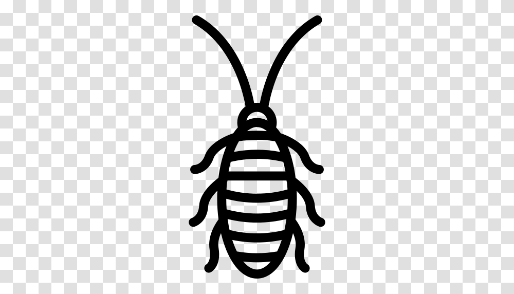 Roach Icon, Gray, World Of Warcraft Transparent Png