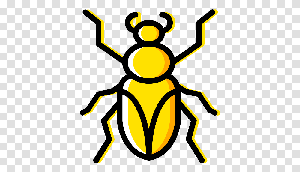 Roach Icon Weevil, Insect, Invertebrate, Animal, Ant Transparent Png
