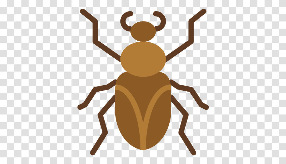 Roach Icons And Graphics Weevil, Invertebrate, Animal, Insect, Dung Beetle Transparent Png