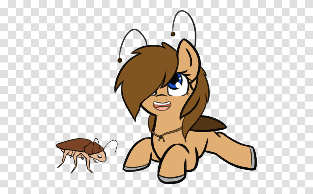Roach Pony, Insect, Invertebrate, Animal, Flea Transparent Png