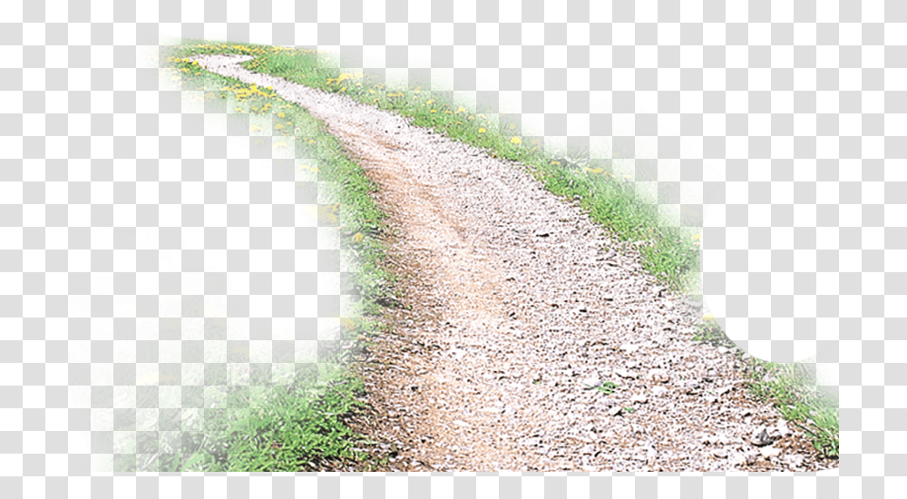 Road Background Clip Art Dirt Road, Gravel, Mammal, Animal, Path Transparent Png