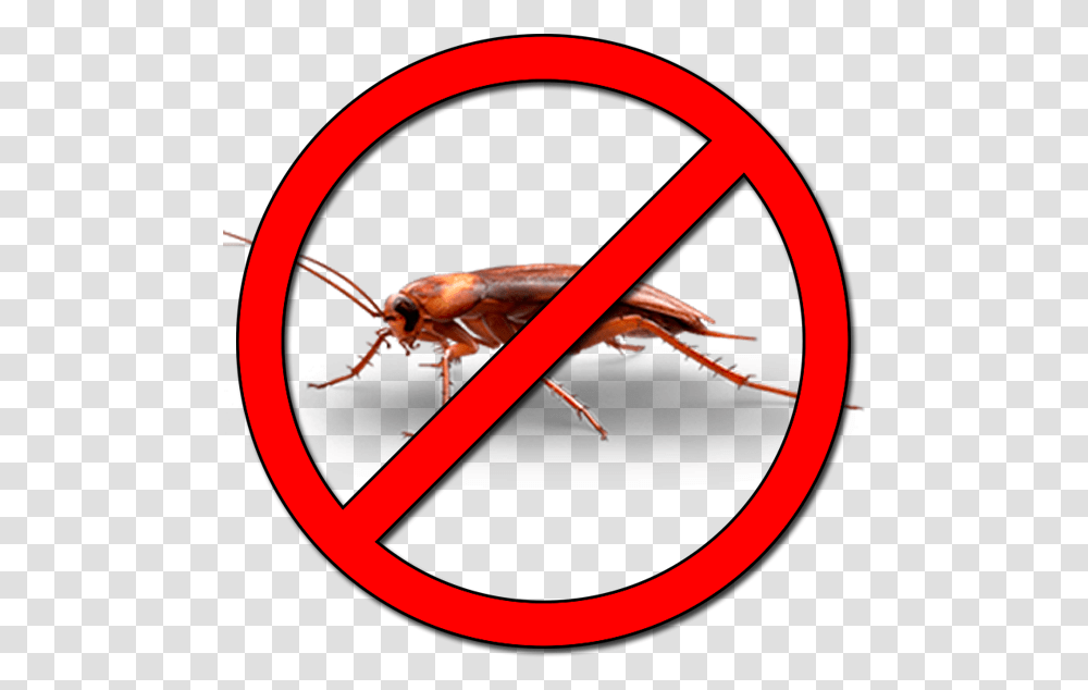Road No Entry Signs, Insect, Invertebrate, Animal, Lobster Transparent Png