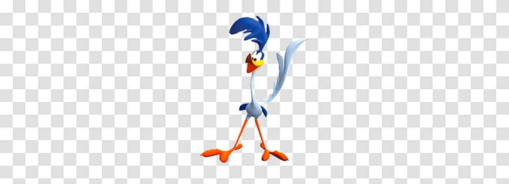 Road Runner, Bird, Animal Transparent Png