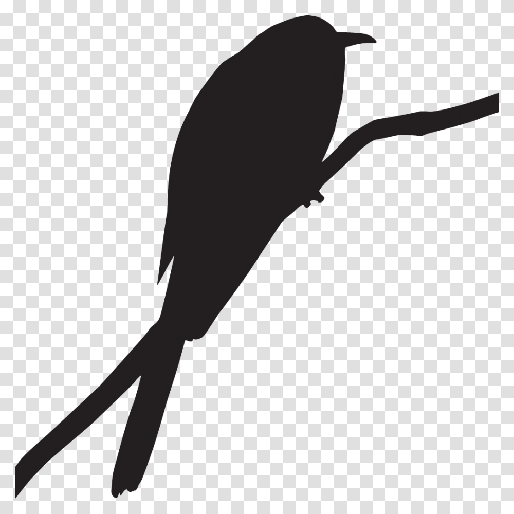 Road Runner Bird Cuckoo Bird, Silhouette, Animal, Blackbird, Agelaius Transparent Png